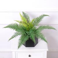 uploads/erp/collection/images/Home Garden/CongDing/XU0610798/img_b/XU0610798_img_b_3